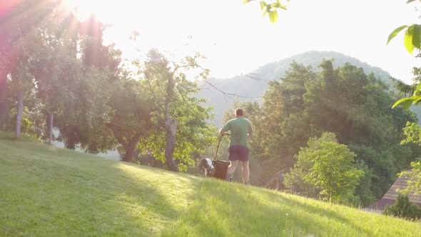 Man mowing lawn between fruit trees with red petrol rotary lawnmower machine. Aerial 4k view.