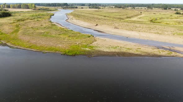 Drone Flies on the River