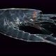 Crustacea larva Euphausiacea, at stage Calyptopis 3 under a microscope, of family Euphausiidae - VideoHive Item for Sale