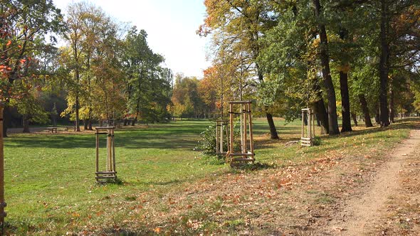 Young Trees with Tree Guards in a Park on a Sunny Day - Slider