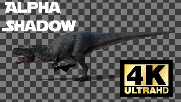 Dinosaur Tyrannosaurus Walk And Roar Loop With Alpha And Shadow Side View alt