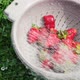 strawberries  - VideoHive Item for Sale