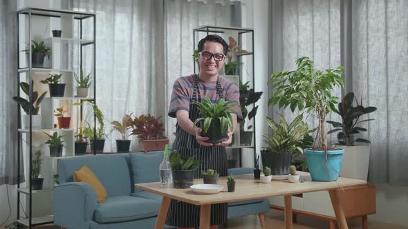 Smiling Asian Man Holding And Showing The Plant To Camera At Home