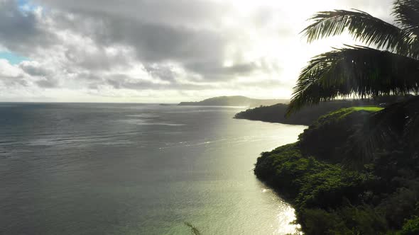 Rise Up Above Palm Trees Reveal Colorful Sky Sunbeams Cinematic Crane View Kauai Hawaii Usa