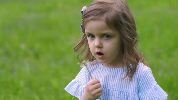 Little Beautiful Girl in a Blue Dress Stands in a Green Field