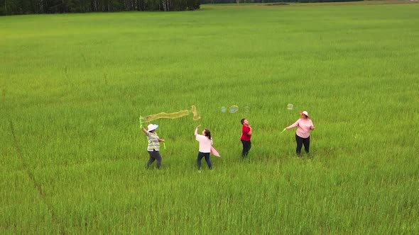 Mom Blows Bubbles in the Field the Girl and the Boy Catch It