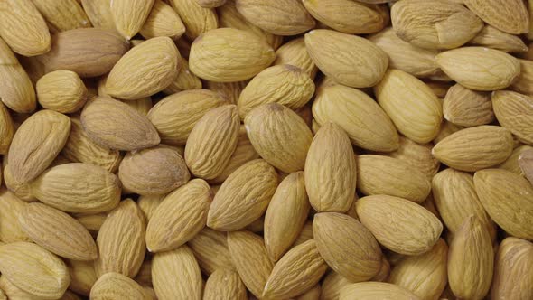 Top View of Dried Rotating Almond