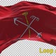 Official Flag Of Saint-Petersburg, Russia, Loop Alpha - VideoHive Item for Sale
