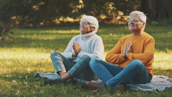 Elderly Couple Meditating in the Park on Autumn Day