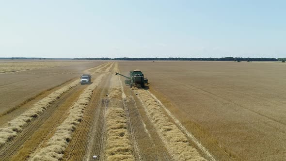 Aerial Drone Footage. Truck Approaches a Combine Harvestaer for Loading