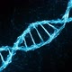 Plexus DNA String - VideoHive Item for Sale