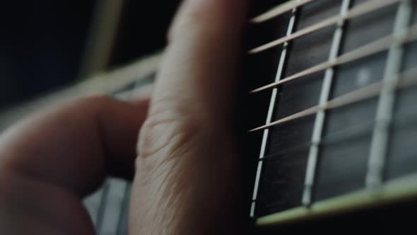 The musician plays the acoustic guitar