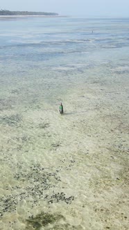 Vertical Video of a Coastal Landscape in Zanzibar Tanzania