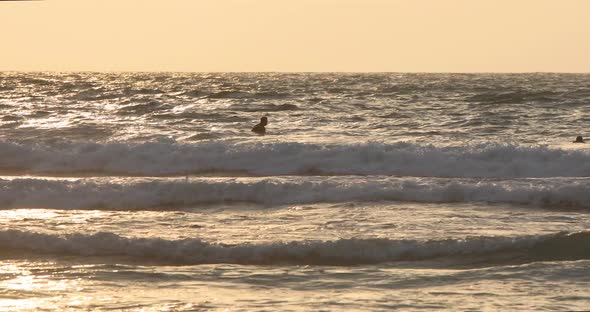 Surfers floating on the waves of the Mediterranean Sea