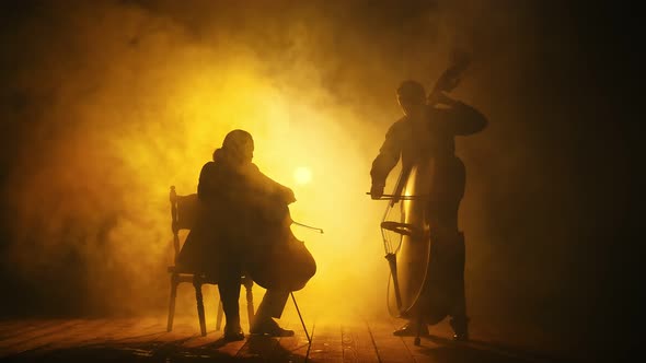Silhouettes of Musicians Playing the Cello Double Bass on the Big Stage of the Concert Hall