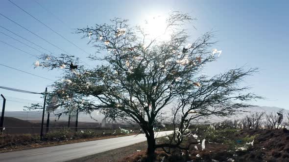 Human Wastes Polluting Nature