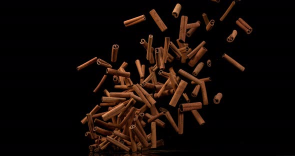 Cinnamon sticks, cinnamomum zeylanicum, spice falling against Black Background, Slow Motion 4K