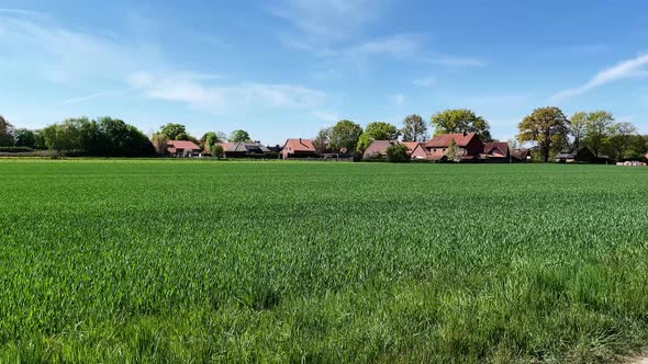 Rural idyll in Lower Saxony Germany countryside with green lush meadows, trees and farms on a sunny