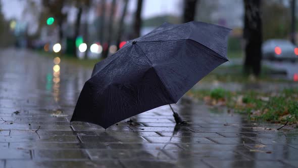 Thrown Black Umbrella on the Road on a Rainy Day