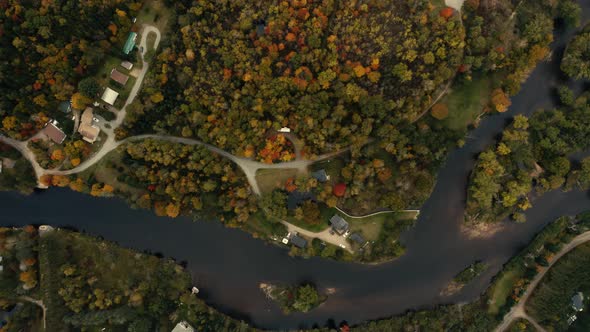 Autumn leaves. beautiful colors - slow pushdown, birds eye view, topview - 4k - Drone