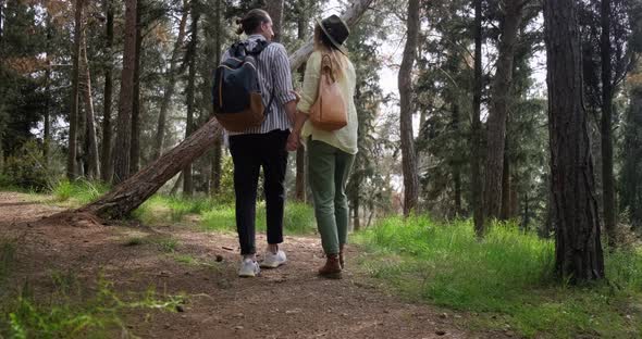 Back view of young couple holding hands and walking in nature.