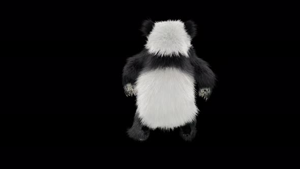 Panda Dancing 4K alt