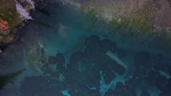 Drone ascending revealing Grassi lake hidden in the middle of the woods. Rural and sustainable touri