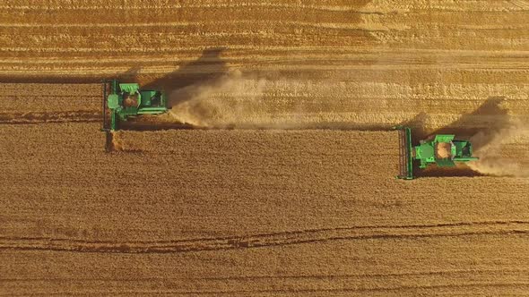 Harvesters in the Field