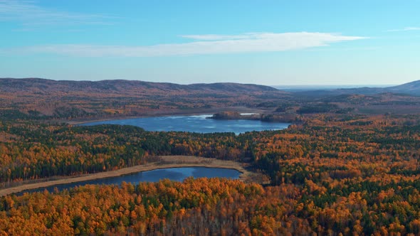 Aerial View of the Autumn Forest Around the Lake