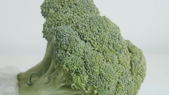 Green Brassica oleracea broccoli floret 4K close-up   footage