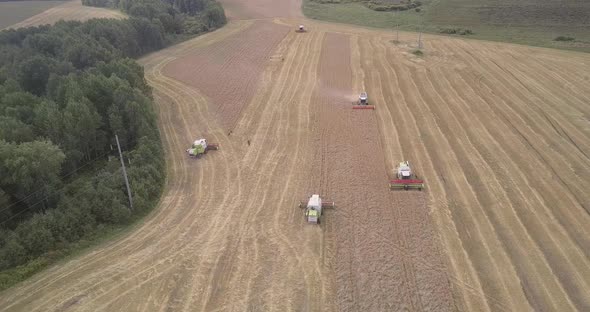 Aerial Panorama Agricultural Machines Operates in Field