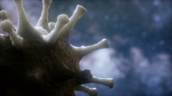 Virtual Representation Macro Model of Novel Coronavirus 2019-nCoV alt