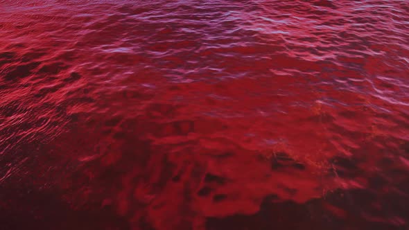 Red Ruby Waves In The Ocean alt