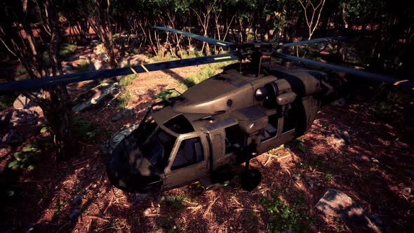 Military Helicopter in Deep Jungle