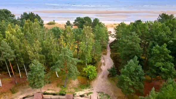 Seaside forest and the beach