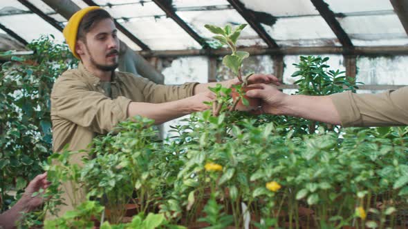 Elderly People Helping Man at Garden Center