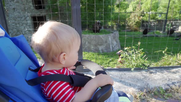 Mother and Child at the Zoo 1