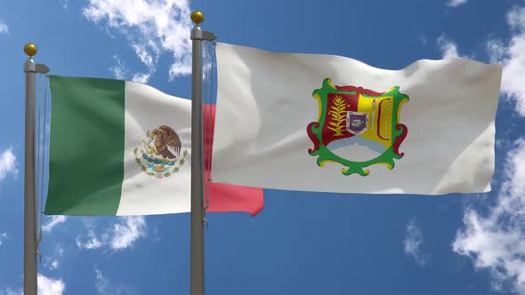 Mexico Flag Vs Nayarit Flag On Flagpole