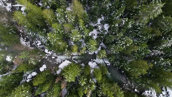 River Raging Frozen Snow Looking Down Above Vibrant Green Natural Forest Woods Washington State