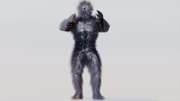 Hairy Monster Dancing clip, fur, Chicken Dance, full hair, 3d render