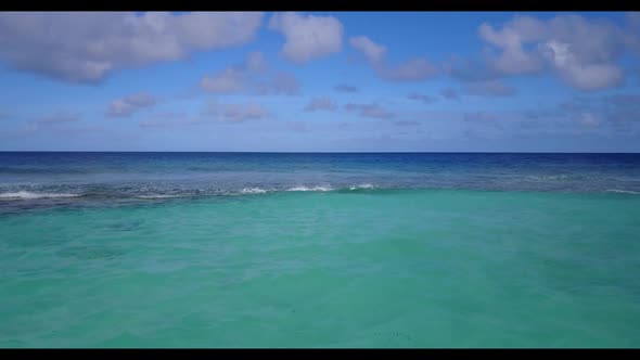 Aerial top view travel of tranquil shore beach wildlife by blue water with white sand background of 