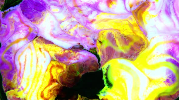 Abstract Colorful Invert Sacral Paint  Exploding Texture 447