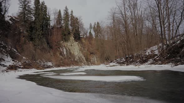 Calm Mountain River in the Carpathian Mountains