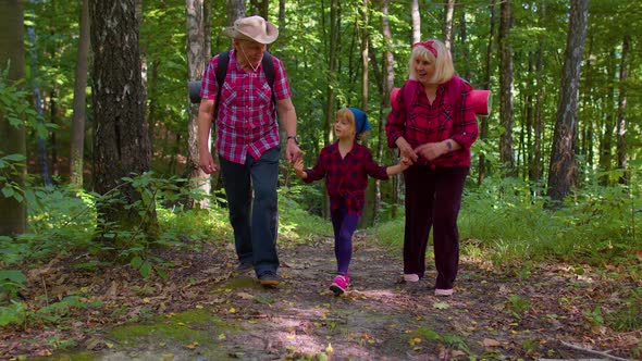 Active Senior Grandmother Grandfather Tourists Walking Hiking with Granddaughter in Summer Wood