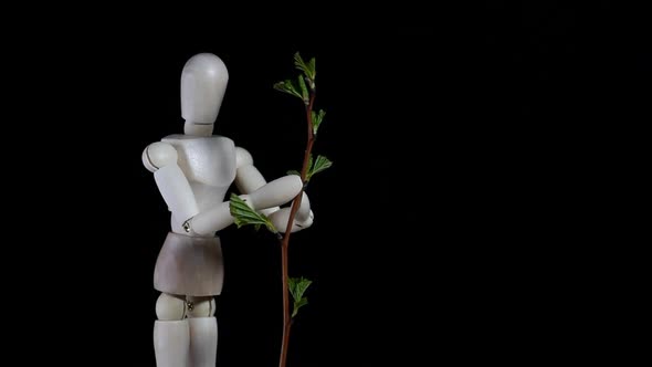 footage of wooden figure plant dark background