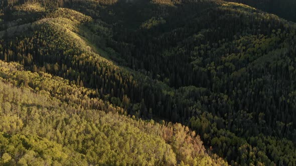 Fall on Owl Creek Pass, Colorado