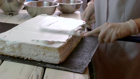 Woman Frosting a Cake at Professional Bakery