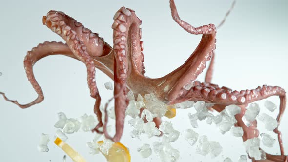 Super Slow Motion Shot of Flying Fresh Octopus, Crushed Ice and Lemon Slices at 1000 Fps.