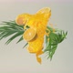 Orange Juice with Palm Branches - VideoHive Item for Sale