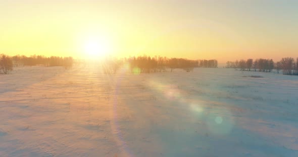 Aerial Drone View of Cold Winter Landscape with Arctic Field Trees Covered with Frost Snow and